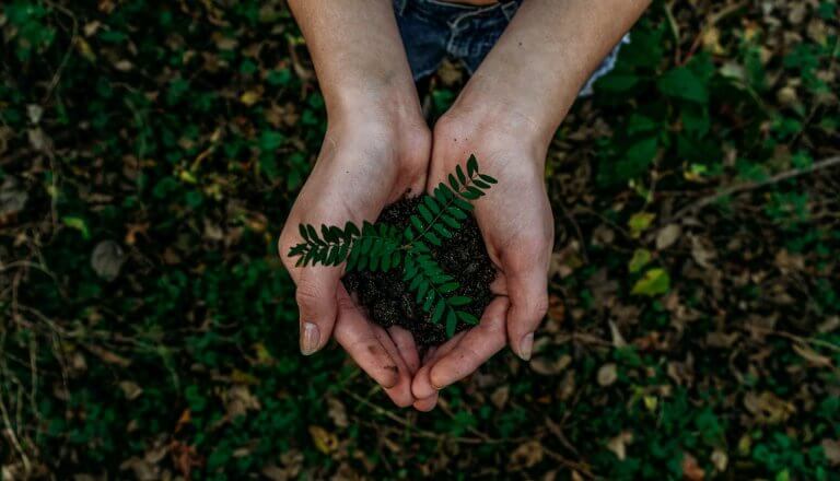 Eco-Friendly Burial